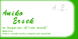 aniko ersek business card